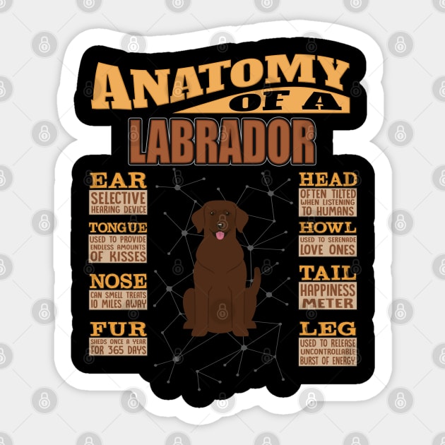 Anatomy Of A Labrador Retriever - Labrador Retriever Labrador,Lab,Brown Hair, Sticker by HarrietsDogGifts